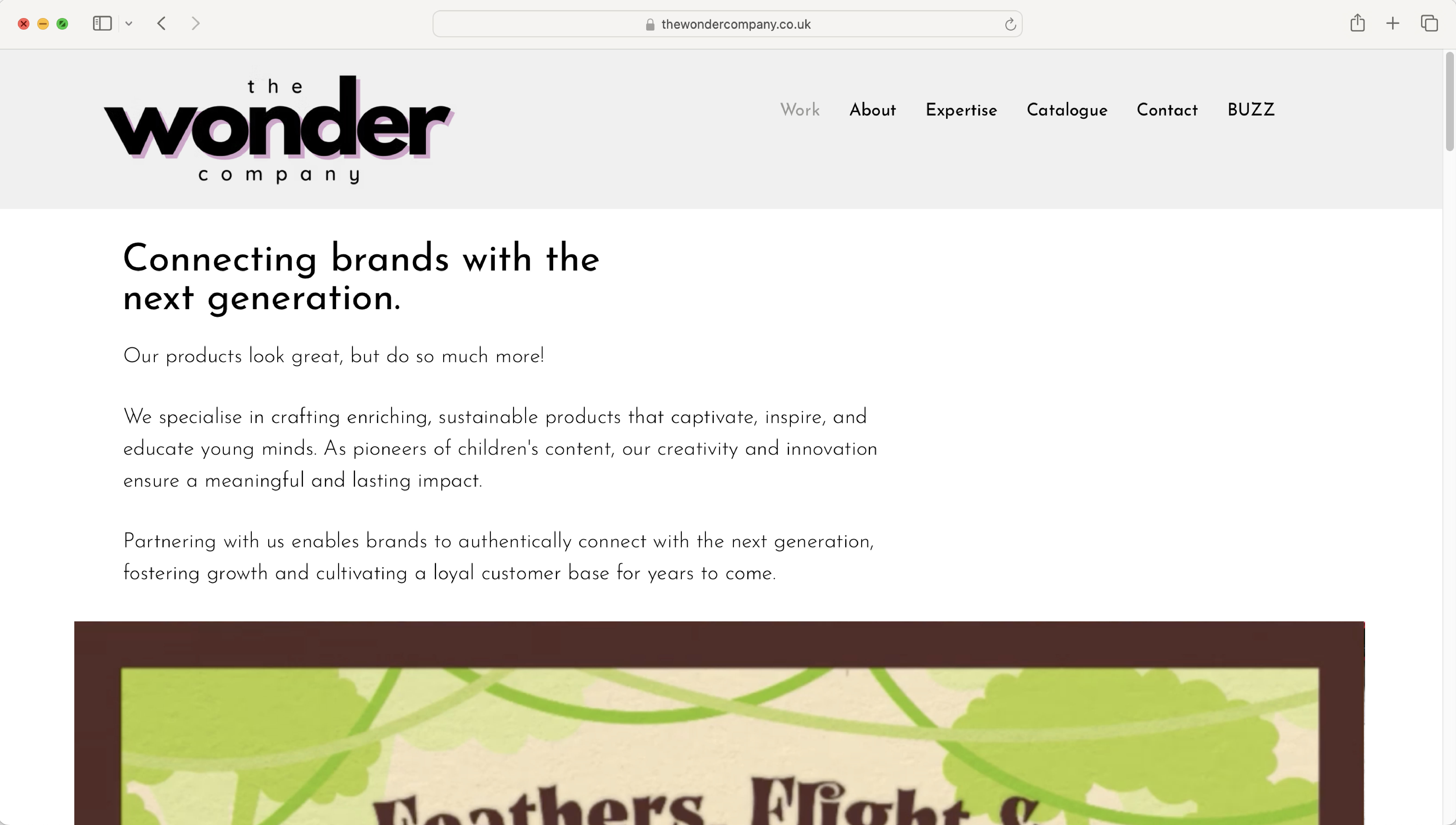 The Wonder Company website
