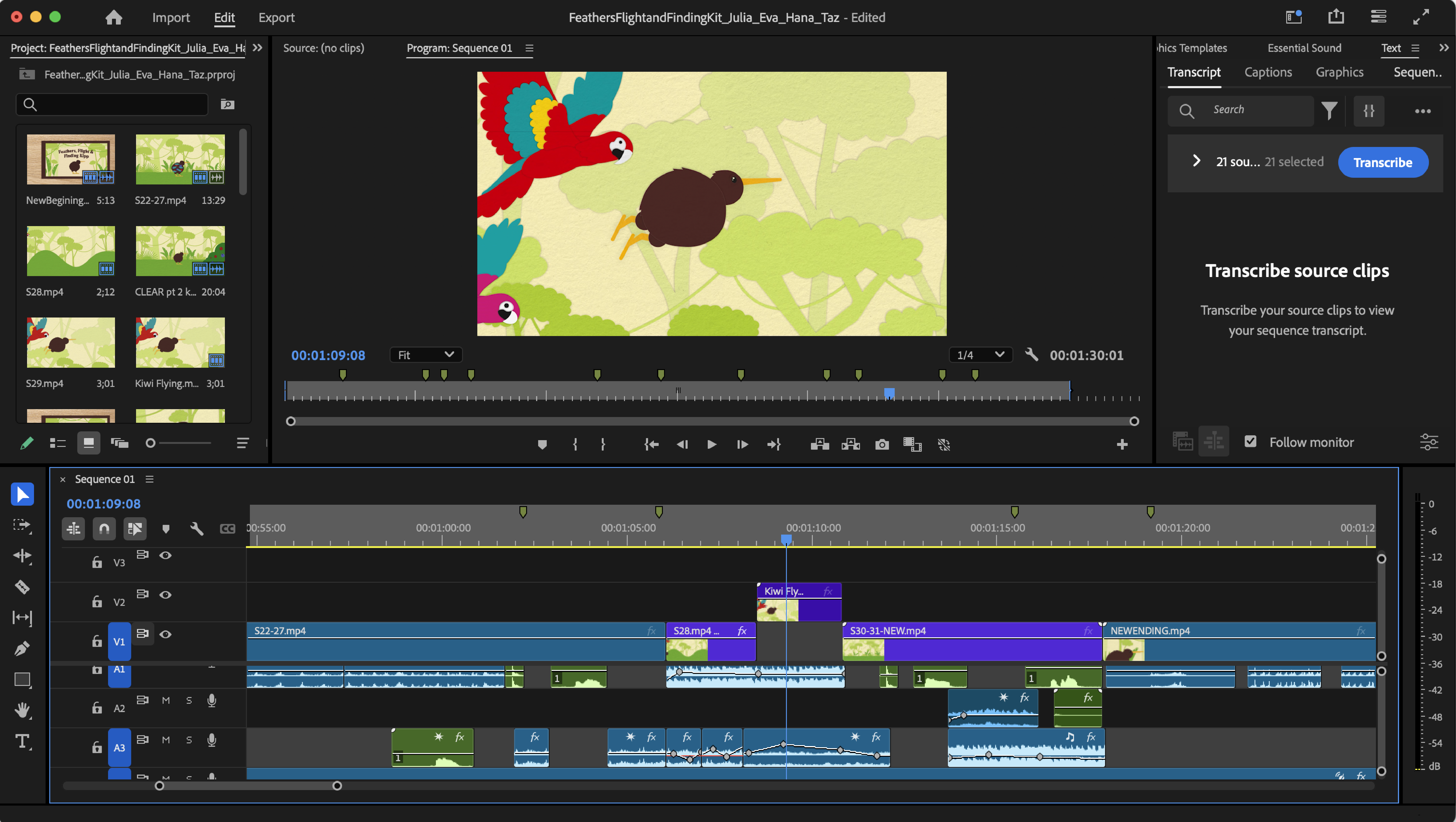 Screenshot from Premiere Pro