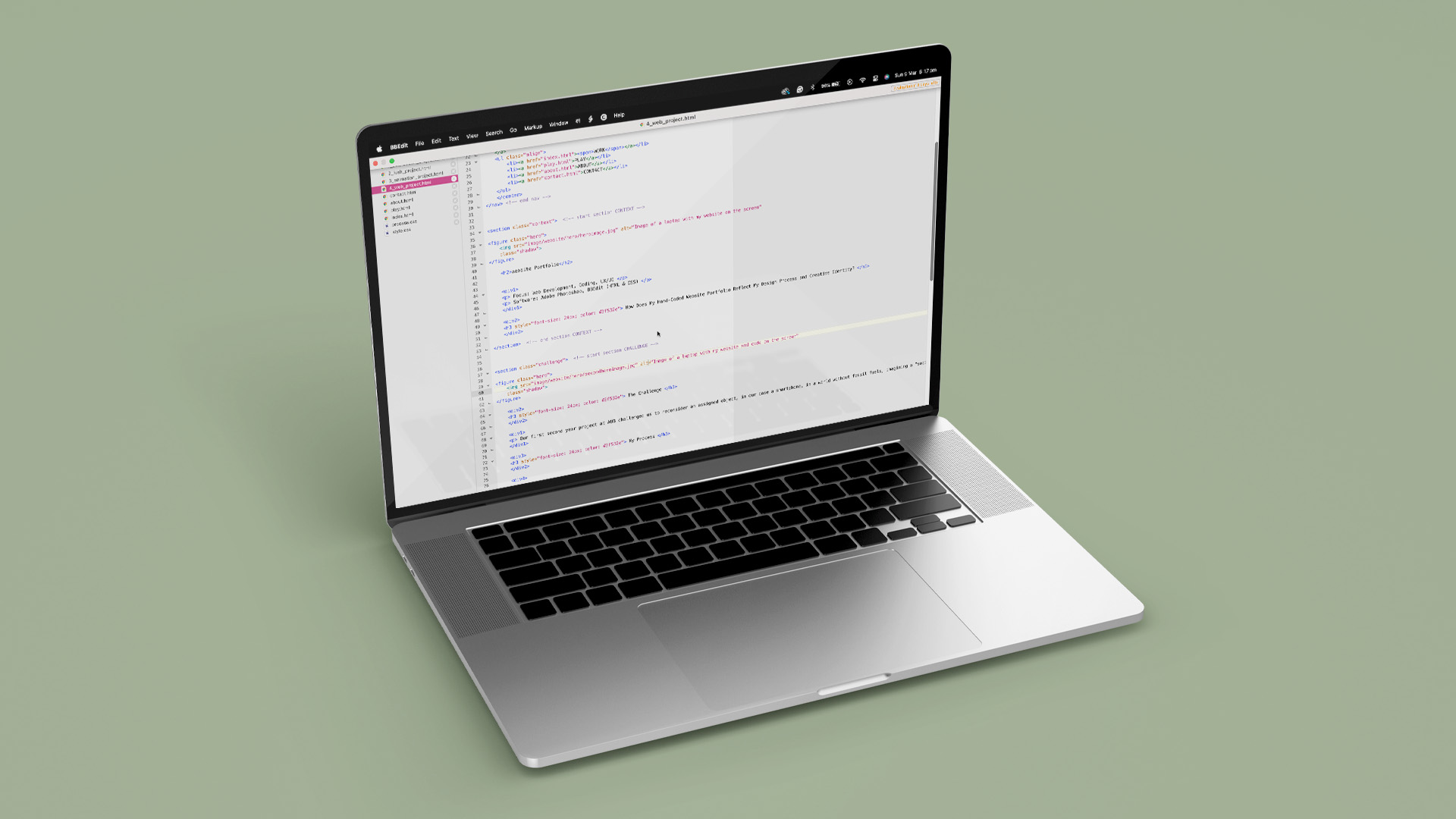 Screenshot of this websites coding